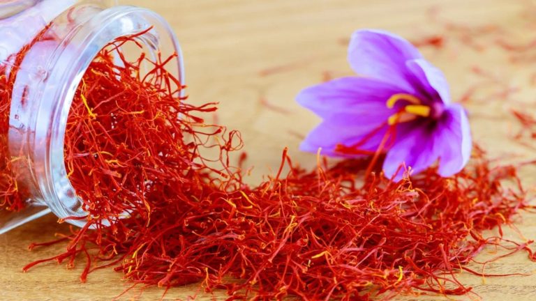 Kashmiri Saffron_Zaffran_Heavens kashmir