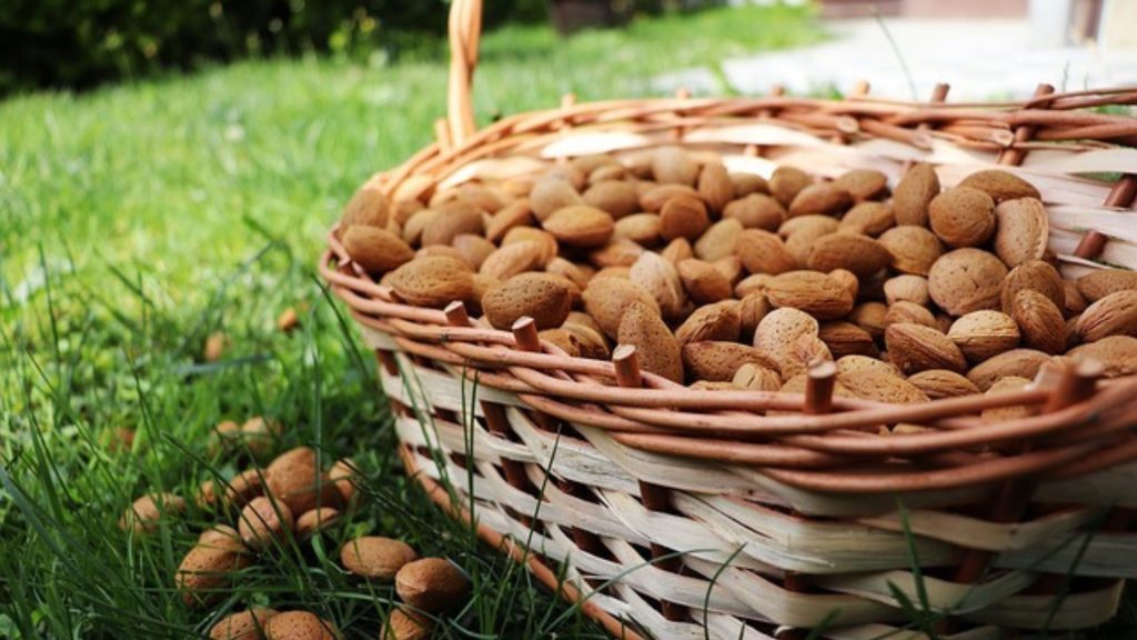 Heavenly Delights: Discover the Magic of Kashmiri Almonds