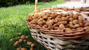 Kashmiri Almonds vs. California almonds